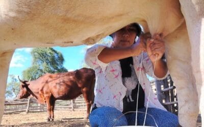 Modesta: alma y fuerza del Chaco