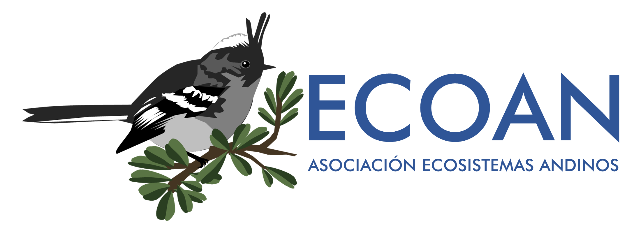 ECOAN - color
