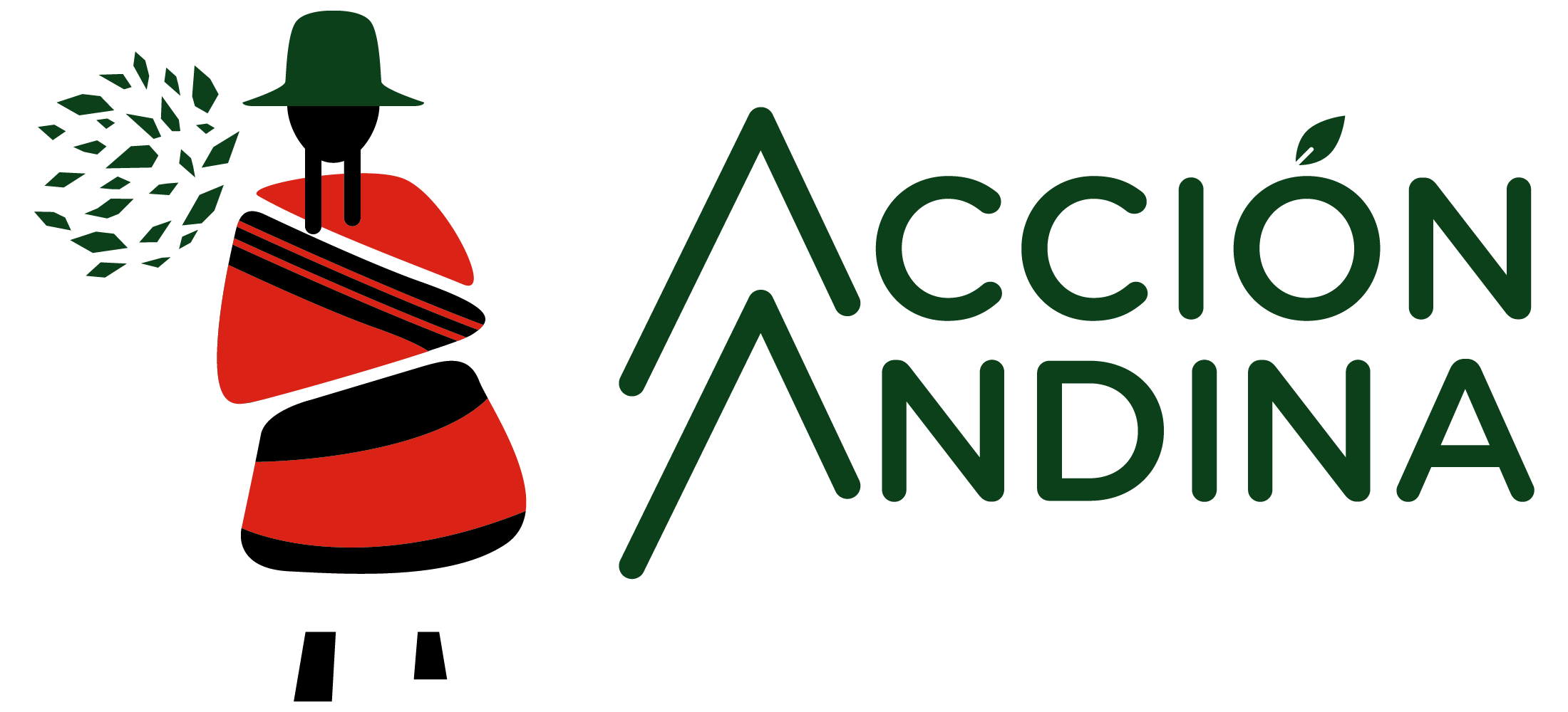 accion andina - color