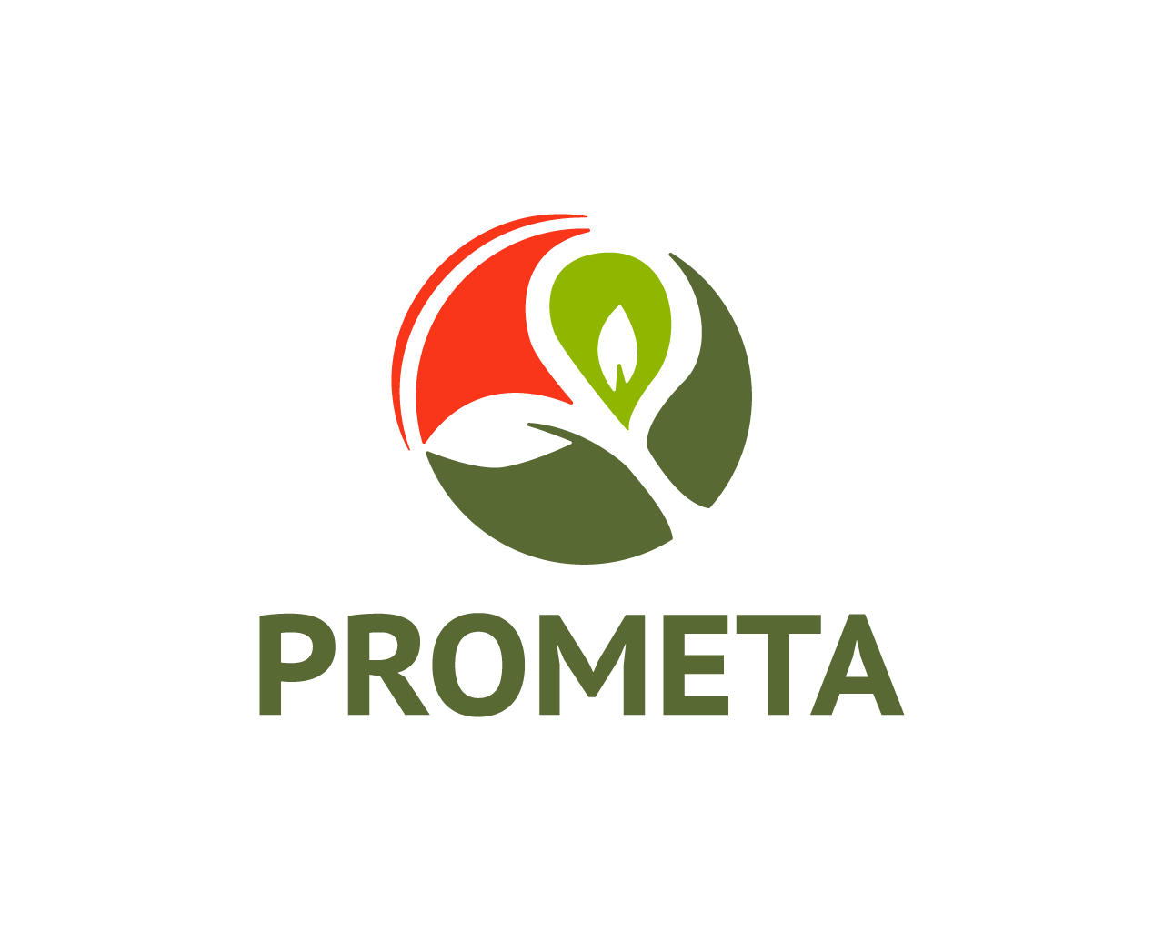LOGOTIPO-SIN-TAGLINE1