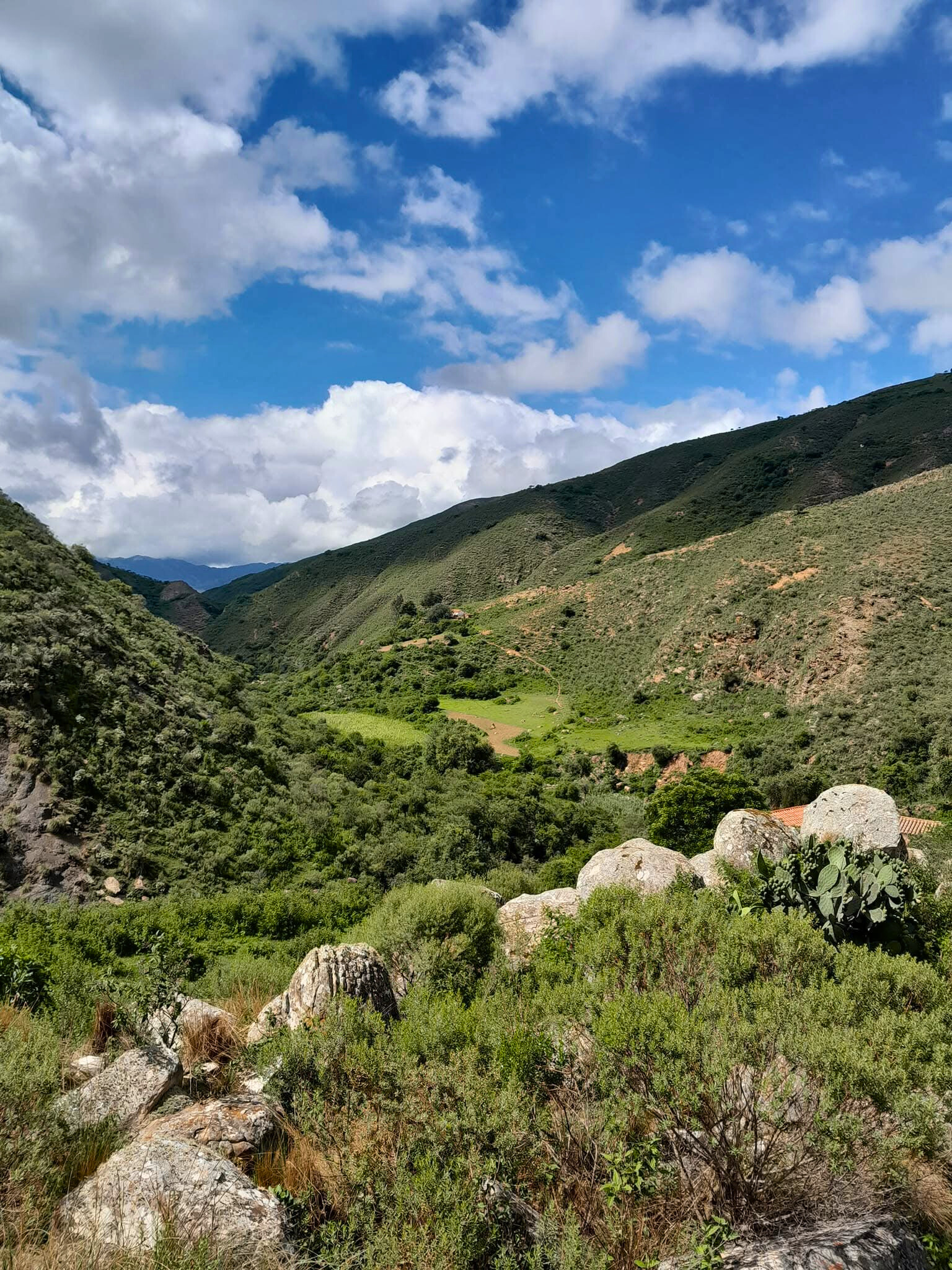 Marquiri Bosque Tucumano Boliviano - Editado (2)