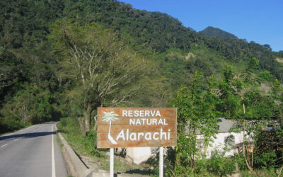 El área de conservación Alarachi es declarada zona prioritaria en el departamento de Tarija