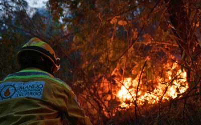 Alrededor de 10.000 hectáreas afectadas: PROMETA revela la magnitud del incendio en Tarija y Sama