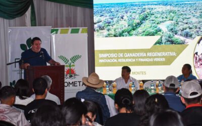 Ganadería regenerativa, el modelo productivo que cuida el suelo, agua y bosque en el Chaco